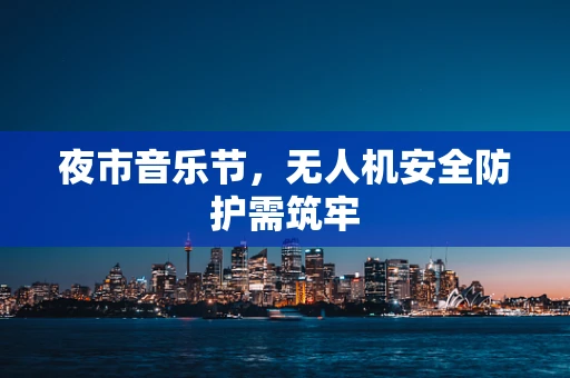 夜市音乐节，无人机安全防护需筑牢