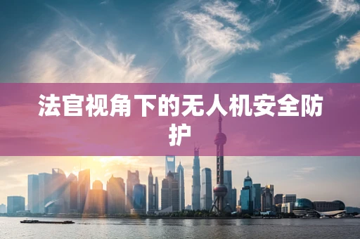 法官视角下的无人机安全防护