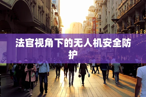 法官视角下的无人机安全防护