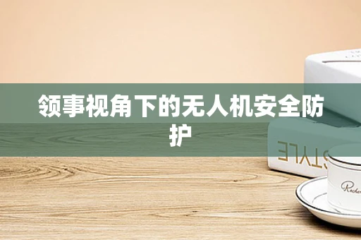 领事视角下的无人机安全防护