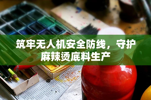 筑牢无人机安全防线，守护麻辣烫底料生产