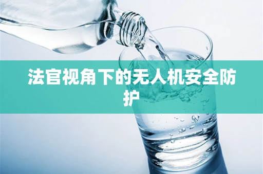 法官视角下的无人机安全防护