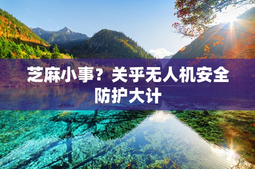 芝麻小事？关乎无人机安全防护大计