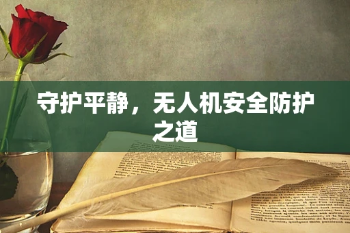 守护平静，无人机安全防护之道