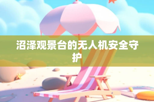 沼泽观景台的无人机安全守护
