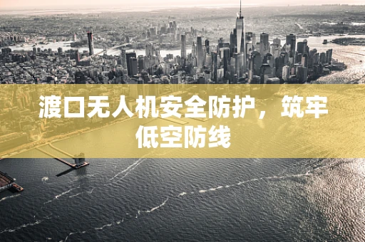 渡口无人机安全防护，筑牢低空防线