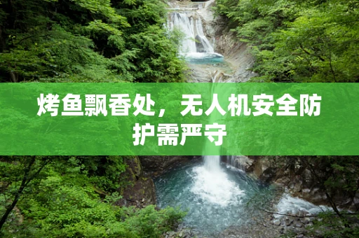 烤鱼飘香处，无人机安全防护需严守