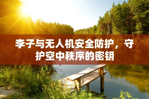 李子与无人机安全防护，守护空中秩序的密钥