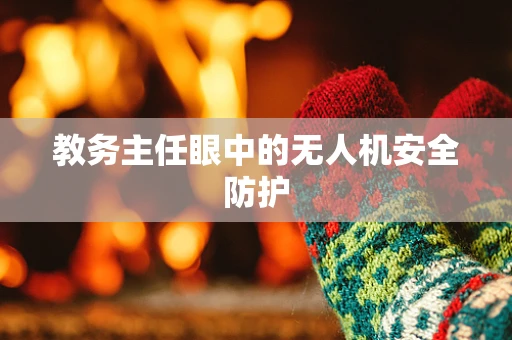 教务主任眼中的无人机安全防护