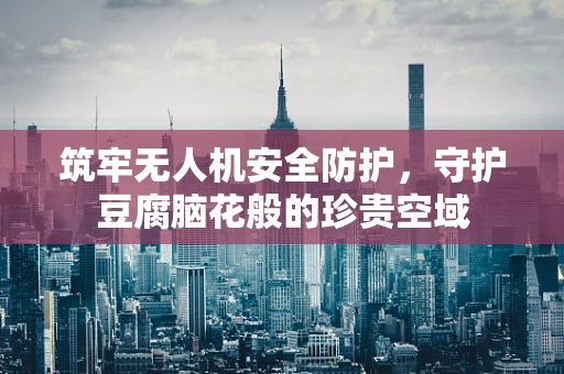 筑牢无人机安全防护，守护豆腐脑花般的珍贵空域