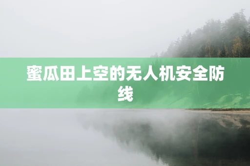 蜜瓜田上空的无人机安全防线