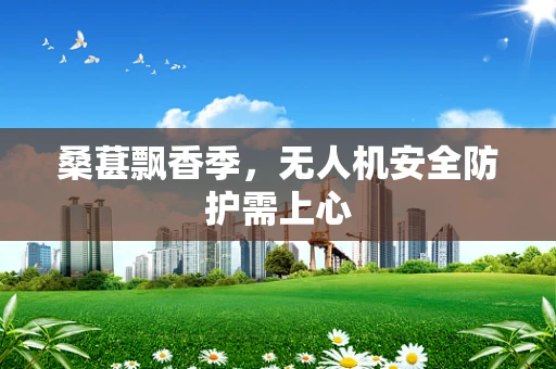 桑葚飘香季，无人机安全防护需上心