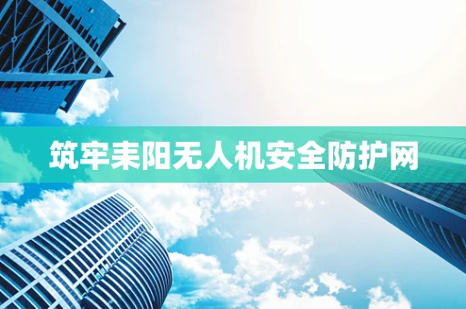 筑牢耒阳无人机安全防护网