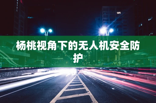 杨桃视角下的无人机安全防护