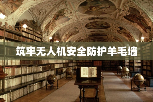 筑牢无人机安全防护羊毛墙