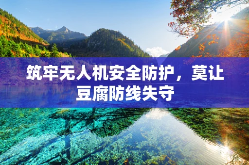 筑牢无人机安全防护，莫让豆腐防线失守