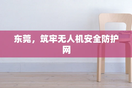 东莞，筑牢无人机安全防护网