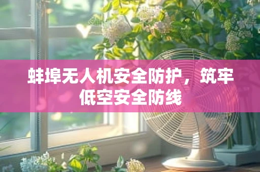 蚌埠无人机安全防护，筑牢低空安全防线