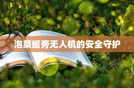 泡菜罐旁无人机的安全守护