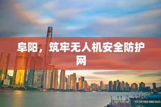 阜阳，筑牢无人机安全防护网