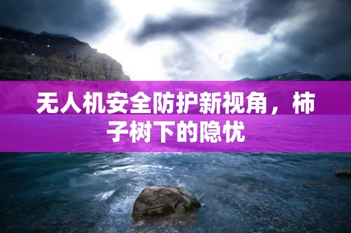 无人机安全防护新视角，柿子树下的隐忧