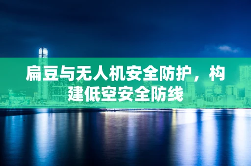 扁豆与无人机安全防护，构建低空安全防线
