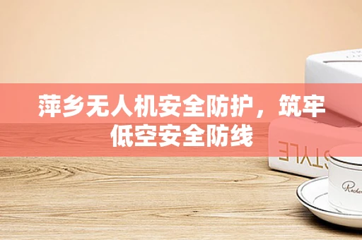萍乡无人机安全防护，筑牢低空安全防线