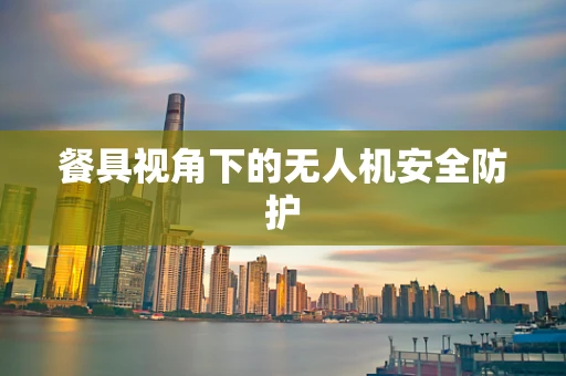 餐具视角下的无人机安全防护