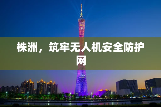 株洲，筑牢无人机安全防护网