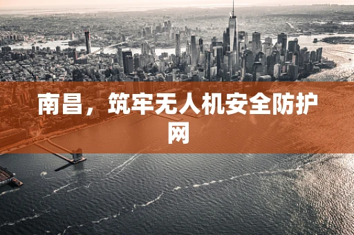 南昌，筑牢无人机安全防护网