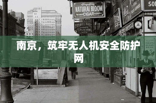 南京，筑牢无人机安全防护网