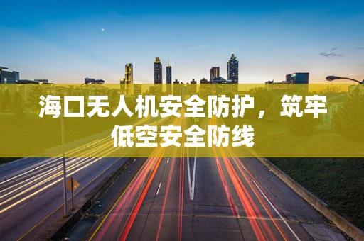 海口无人机安全防护，筑牢低空安全防线