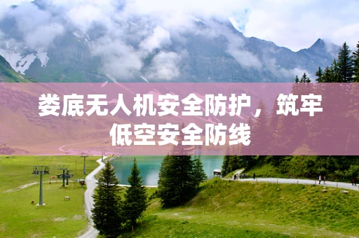 娄底无人机安全防护，筑牢低空安全防线