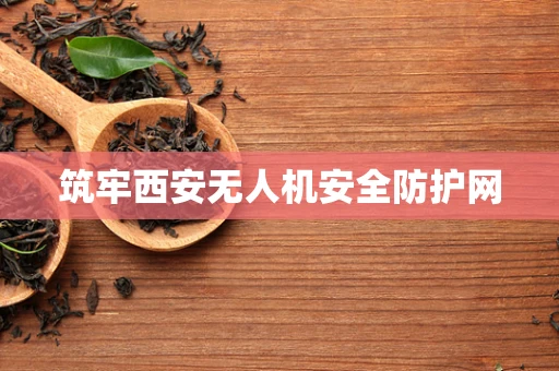筑牢西安无人机安全防护网