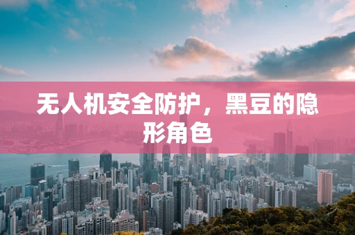 无人机安全防护，黑豆的隐形角色
