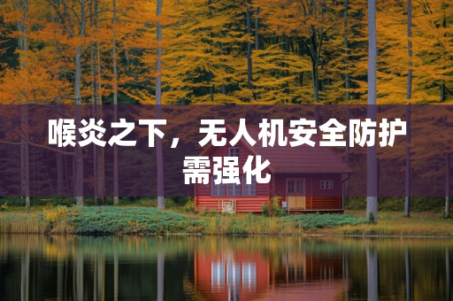 喉炎之下，无人机安全防护需强化