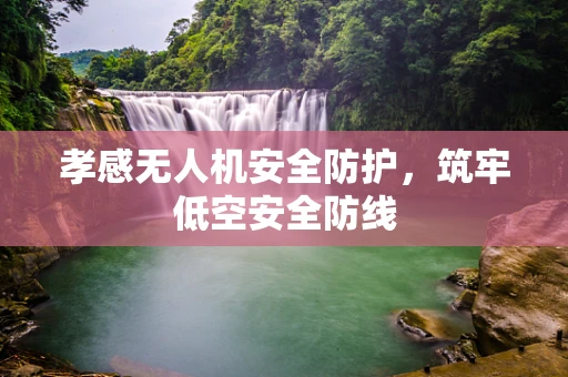 孝感无人机安全防护，筑牢低空安全防线