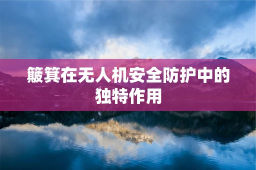 簸箕在无人机安全防护中的独特作用