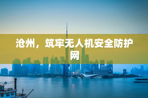 沧州，筑牢无人机安全防护网