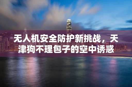 无人机安全防护新挑战，天津狗不理包子的空中诱惑
