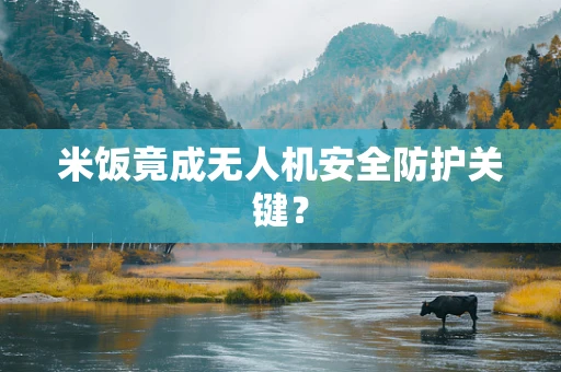 米饭竟成无人机安全防护关键？