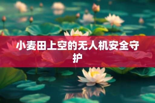 小麦田上空的无人机安全守护