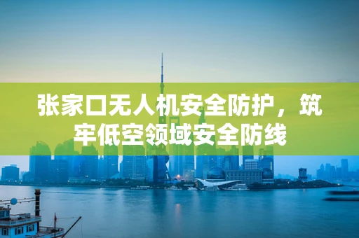 张家口无人机安全防护，筑牢低空领域安全防线