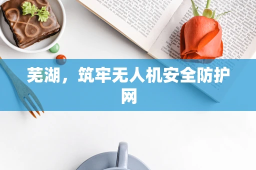 芜湖，筑牢无人机安全防护网