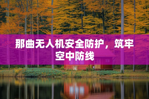 那曲无人机安全防护，筑牢空中防线