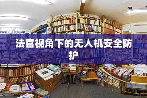 法官视角下的无人机安全防护
