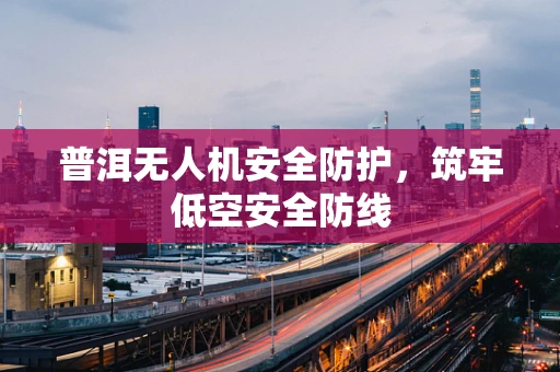 普洱无人机安全防护，筑牢低空安全防线