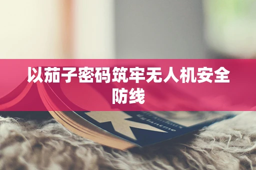 以茄子密码筑牢无人机安全防线