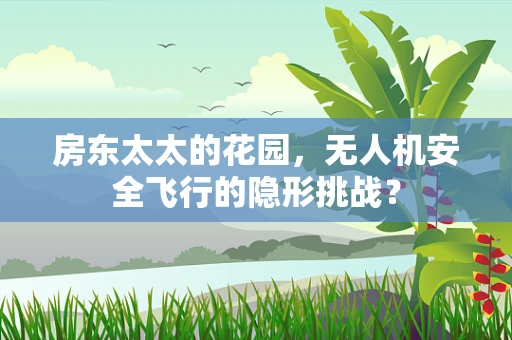 房东太太的花园，无人机安全飞行的隐形挑战？