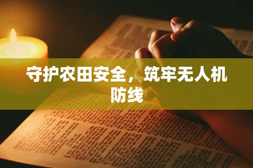守护农田安全，筑牢无人机防线